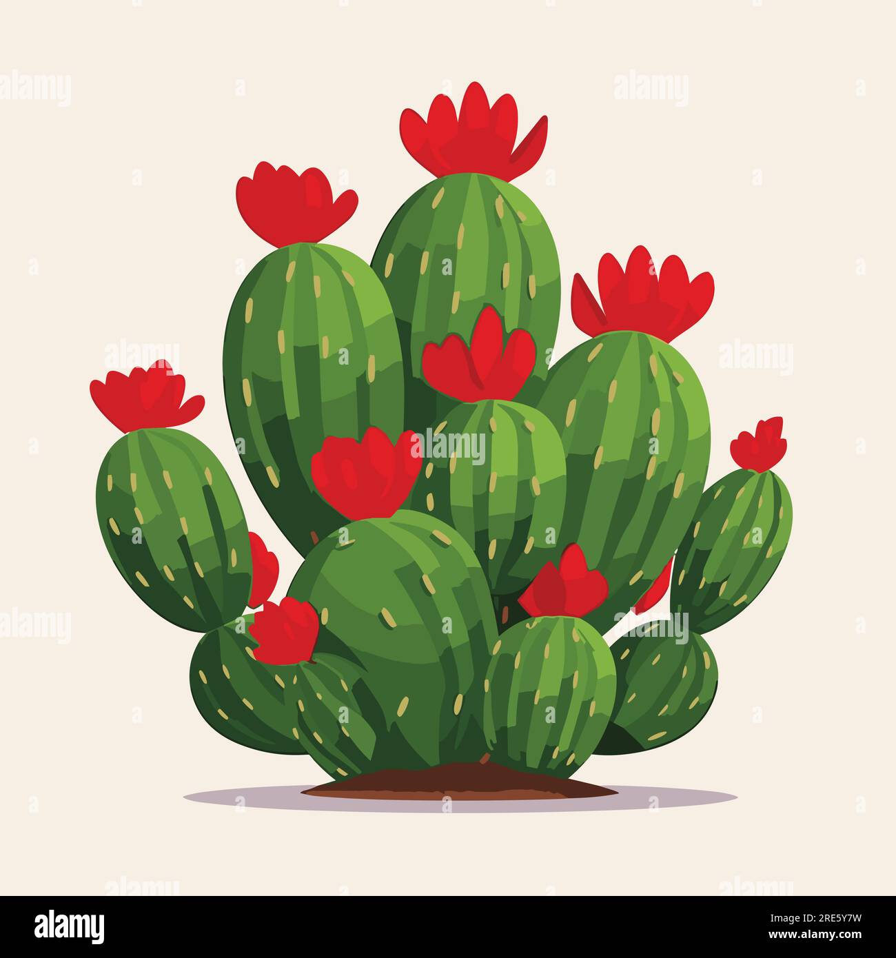 Opuntia Cactus vector flat minimalistic isolated Stock Vector Image