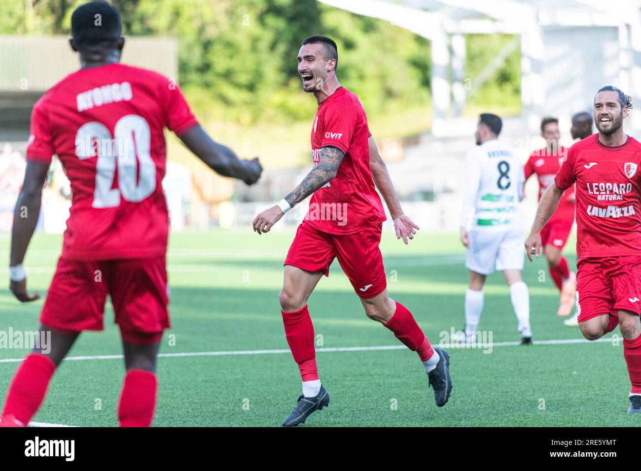 Park Hall, Oswestry, Shropshire, England, 25th July 2023. Swift