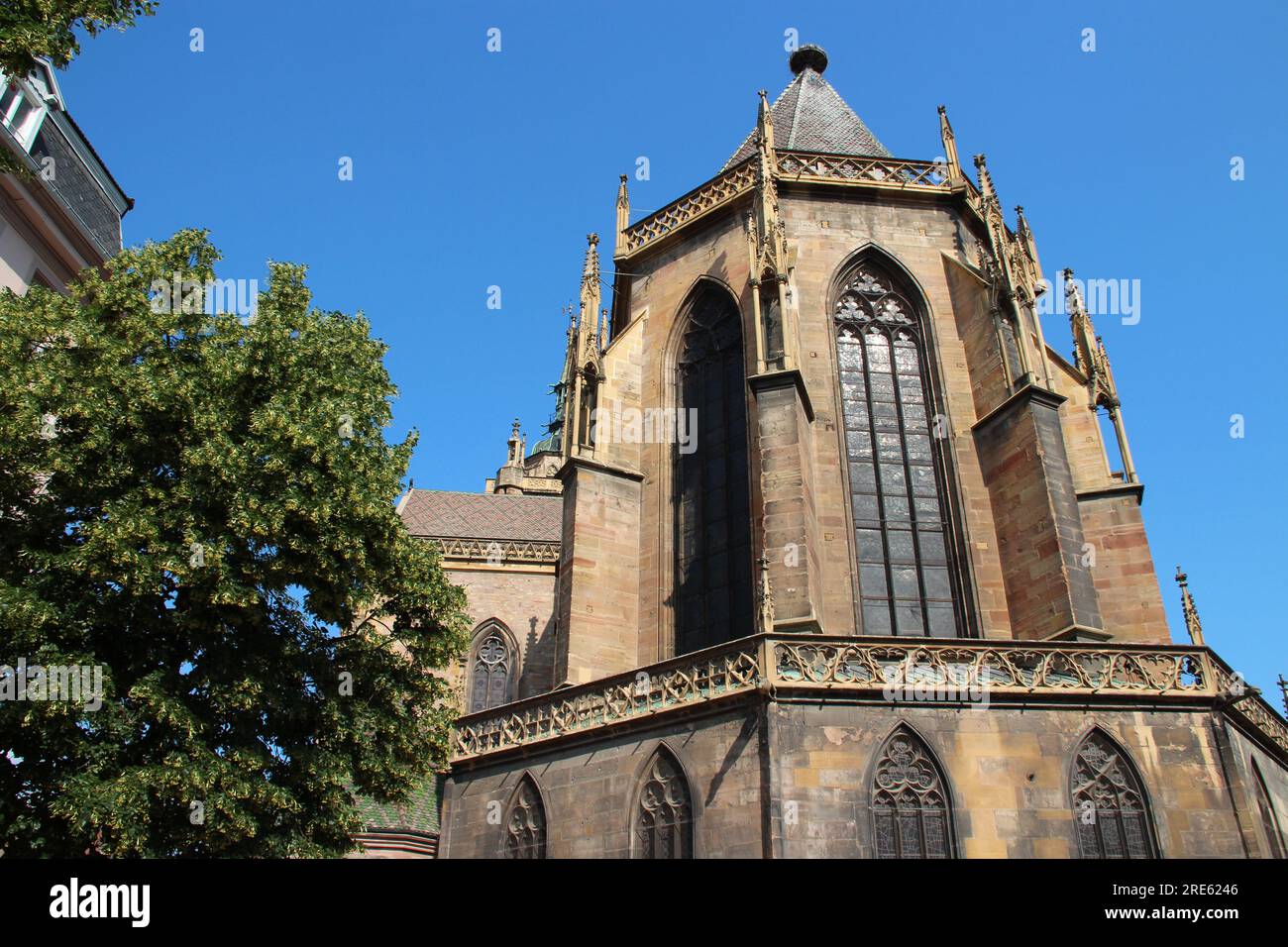 saint-martin collegiate church in colmar in alsace (france) Stock Photo