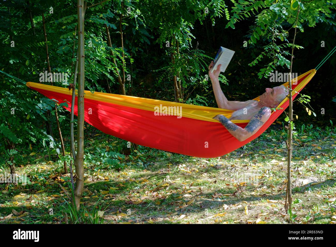 older man relaxing in garden hammock shaded by trees reading book zala county hungary Stock Photo