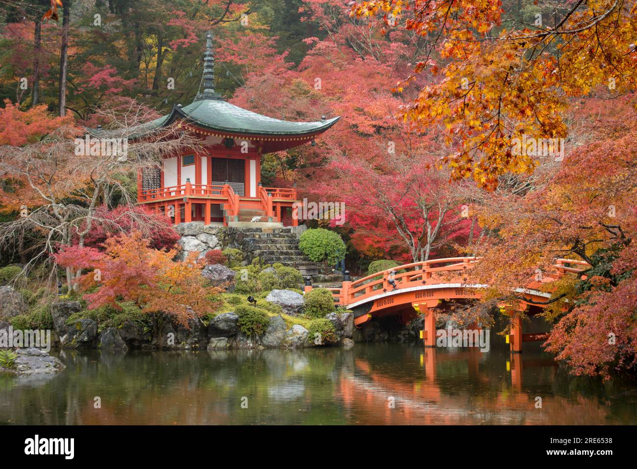 Fall color in a garden at Daigoji, a Buddhist temple in Kyoto, Japan ...