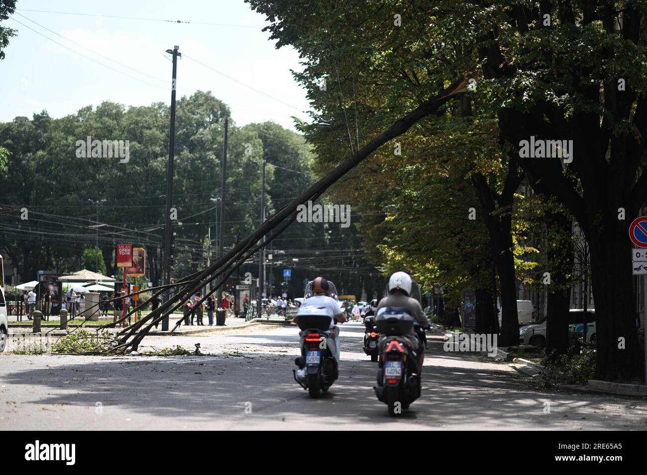 Milan, Italy. 25th July, 2023. A broken branch is seen after thunderstorms in Milan, Italy, on July 25, 2023. While the southern two-thirds of Italy struggled under the oppressive heat, most of the northern area was pelted by thunderstorms and over-sized hail. Media reports said the emergency services in Milan had responded to more than 200 requests for help related to flooding, fallen trees, and damage to cars and homes, since a severe storm hit the city late Monday. Credit: Str/Xinhua/Alamy Live News Stock Photo