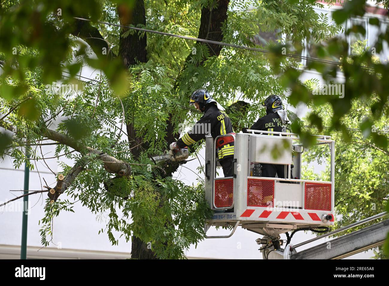 Milan, Italy. 25th July, 2023. Firefighters remove a broken branch after thunderstorms in Milan, Italy, on July 25, 2023. While the southern two-thirds of Italy struggled under the oppressive heat, most of the northern area was pelted by thunderstorms and over-sized hail. Media reports said the emergency services in Milan had responded to more than 200 requests for help related to flooding, fallen trees, and damage to cars and homes, since a severe storm hit the city late Monday. Credit: Str/Xinhua/Alamy Live News Stock Photo