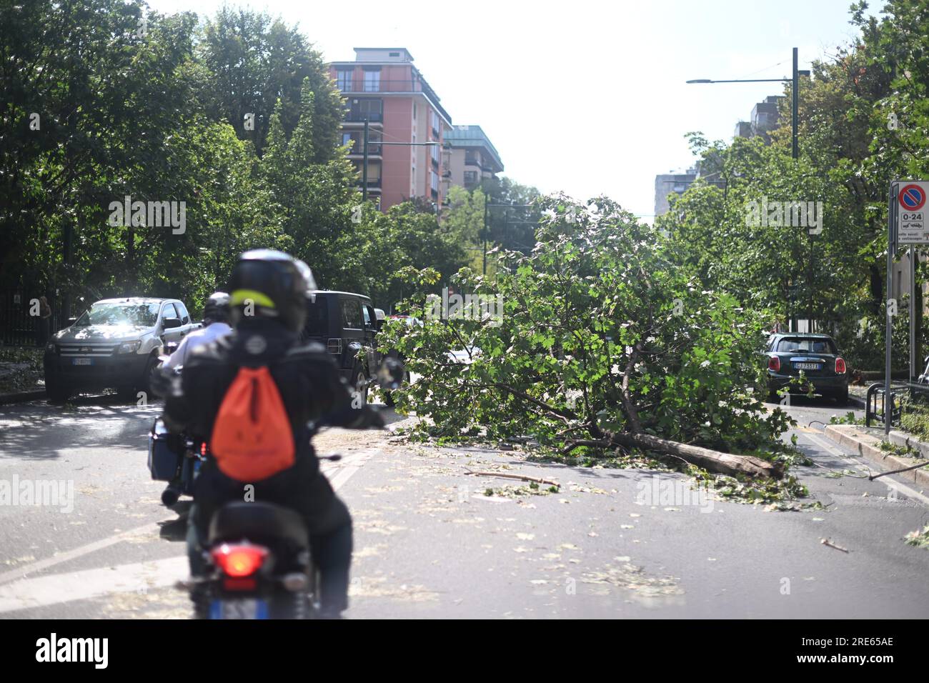 Milan, Italy. 25th July, 2023. A fallen tree is seen on a road after thunderstorms in Milan, Italy, on July 25, 2023. While the southern two-thirds of Italy struggled under the oppressive heat, most of the northern area was pelted by thunderstorms and over-sized hail. Media reports said the emergency services in Milan had responded to more than 200 requests for help related to flooding, fallen trees, and damage to cars and homes, since a severe storm hit the city late Monday. Credit: Str/Xinhua/Alamy Live News Stock Photo