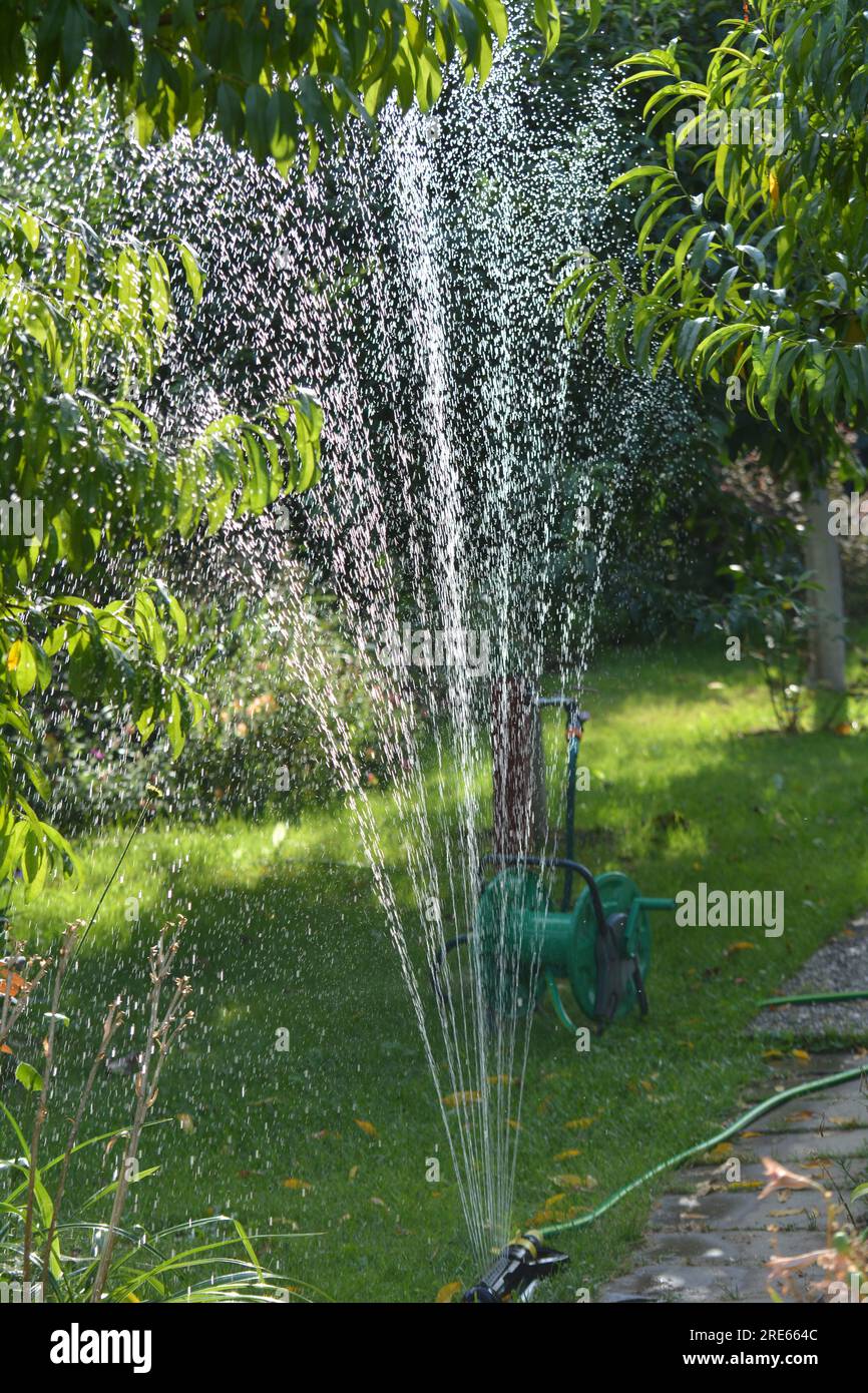 In summer, the garden works a sprinkler system irrigation Stock Photo