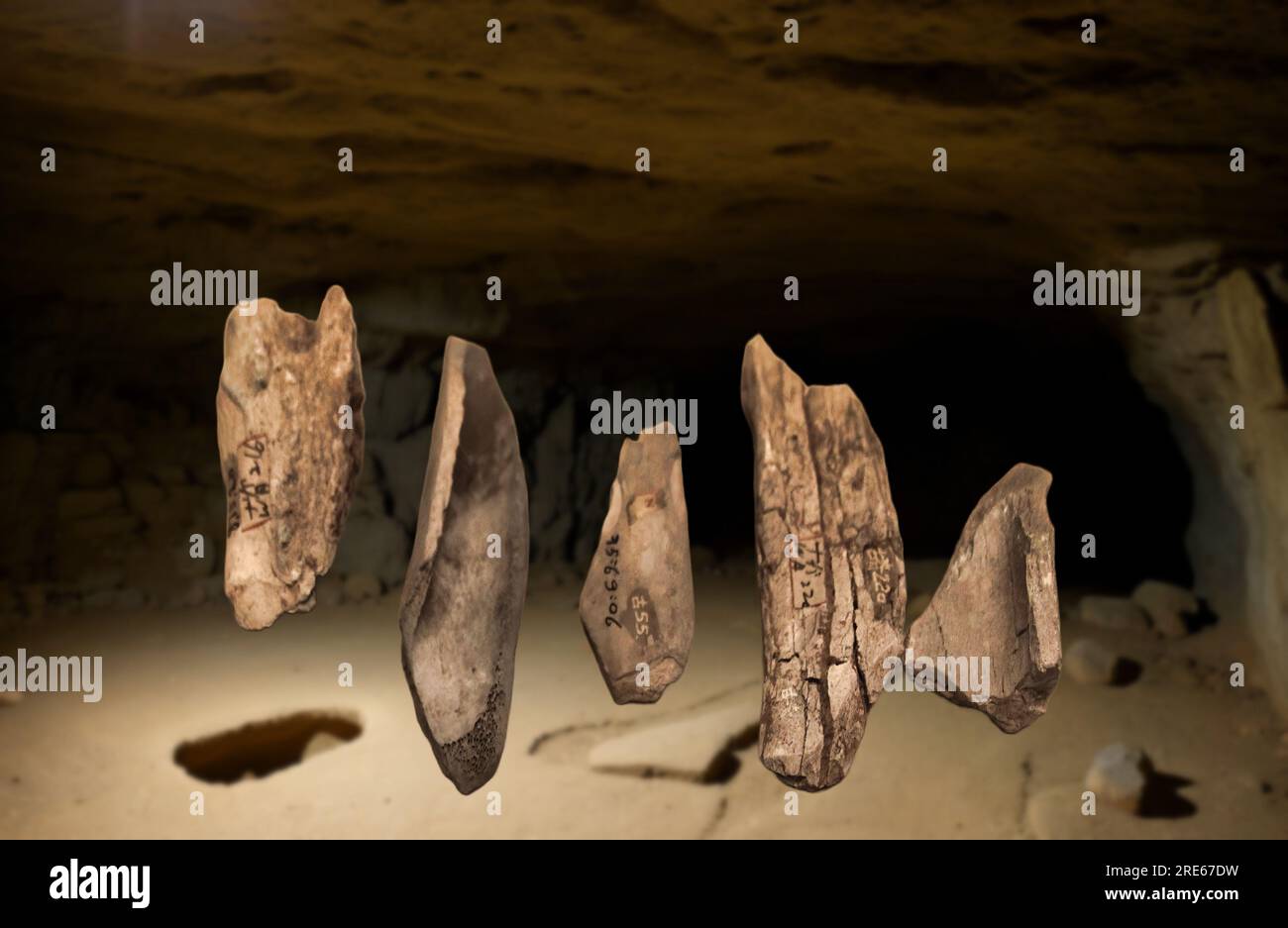 Bone tools dating back to the Paleolithic era Stock Photo