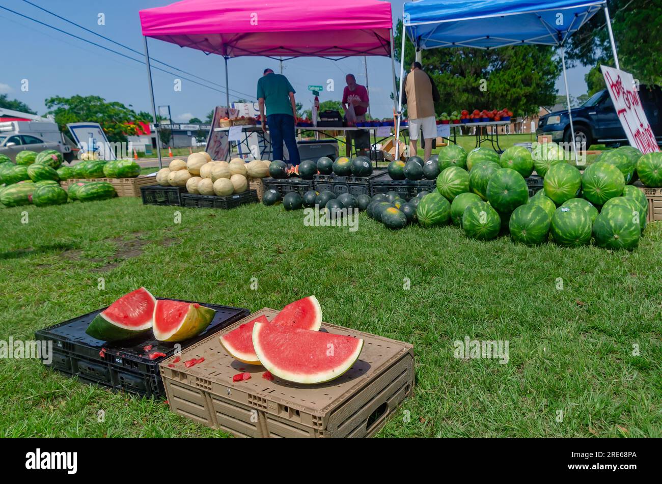 Customers inspect the watermelons at Randy Price’s fruit stand, June 27
