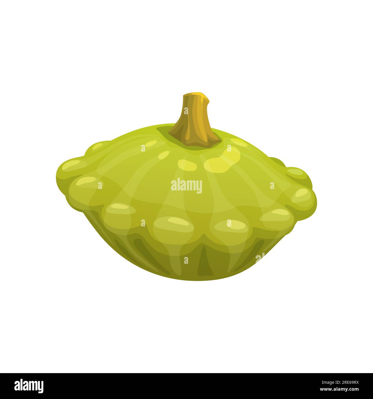 Cartoon raw squash, vector vegetable food. Fresh green summer or