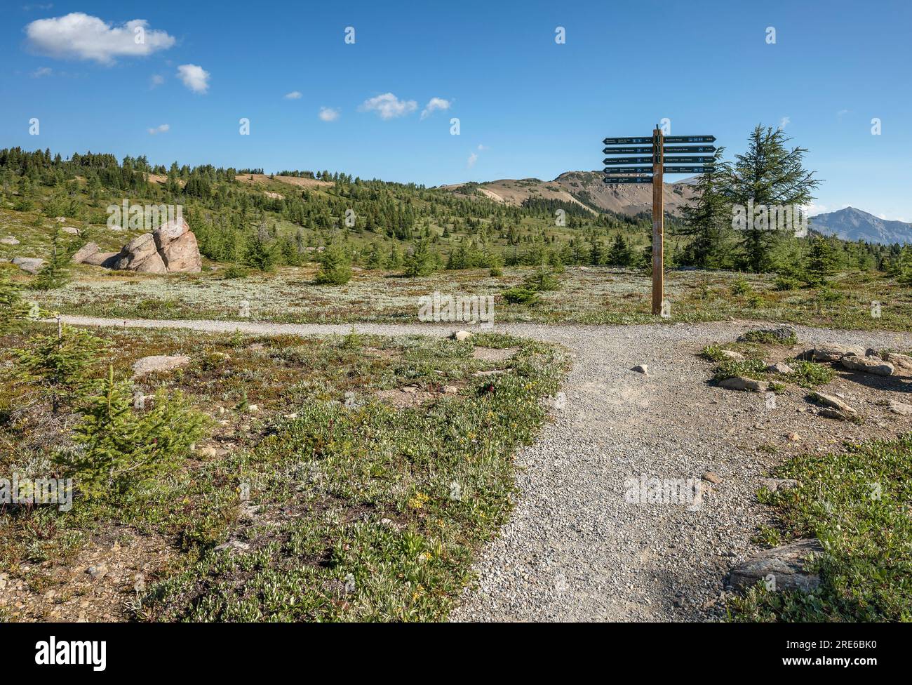 Hiking trail with directional sign post at Sunshine Meadows on the Continental Divide between Alberta and British Columbia Stock Photo