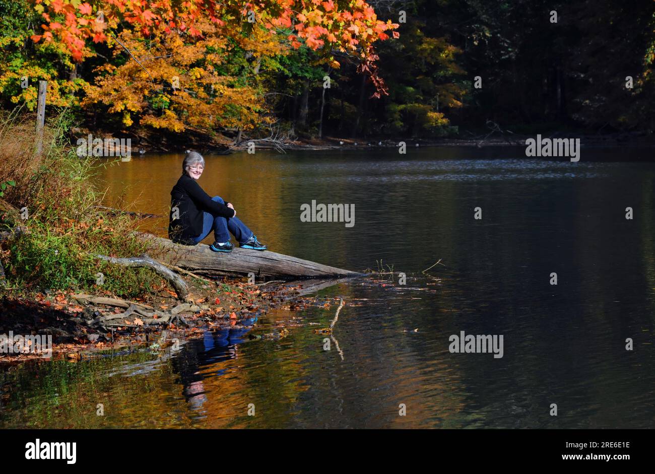 Visitor smiles as she sits quietly on a log besides PoplarTree Lake in Meeman-Shelby State Park near Memphis, Tennessee.  Autumn colors fill image. Stock Photo