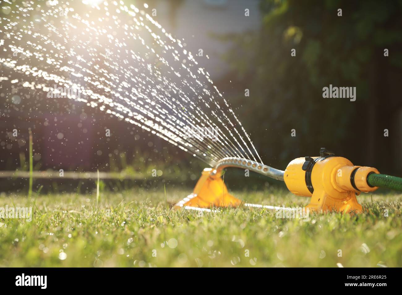 Automatic sprinkler watering green grass on sunny day in garden ...