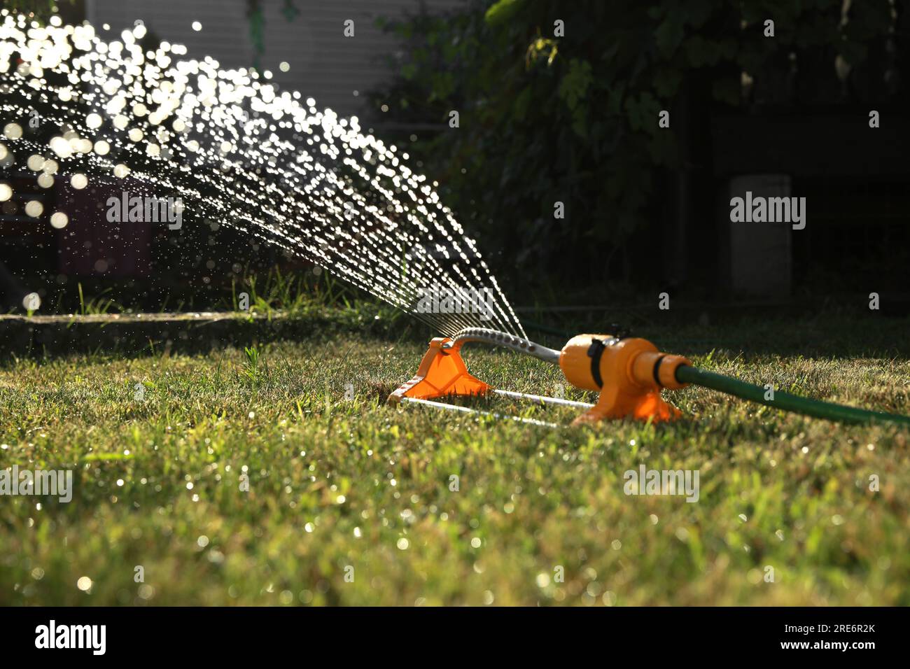 Automatic sprinkler watering green grass on sunny day outdoors ...