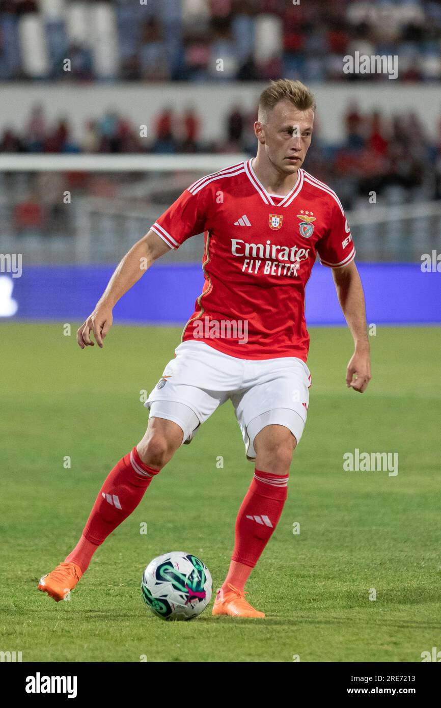 Casper tengstedt hires stock photography and images Alamy