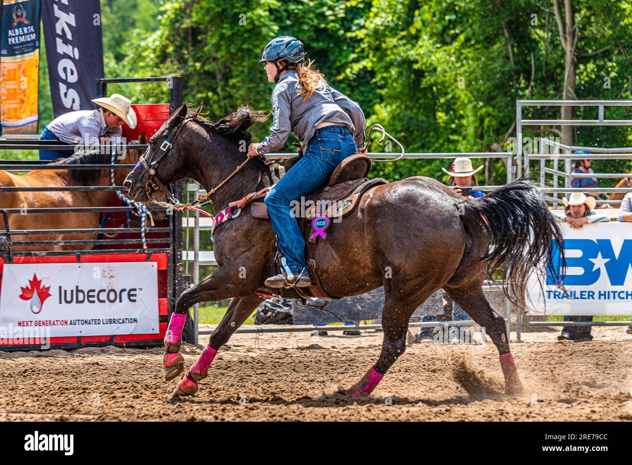 Ram alberta premium hi-res stock photography and images - Alamy