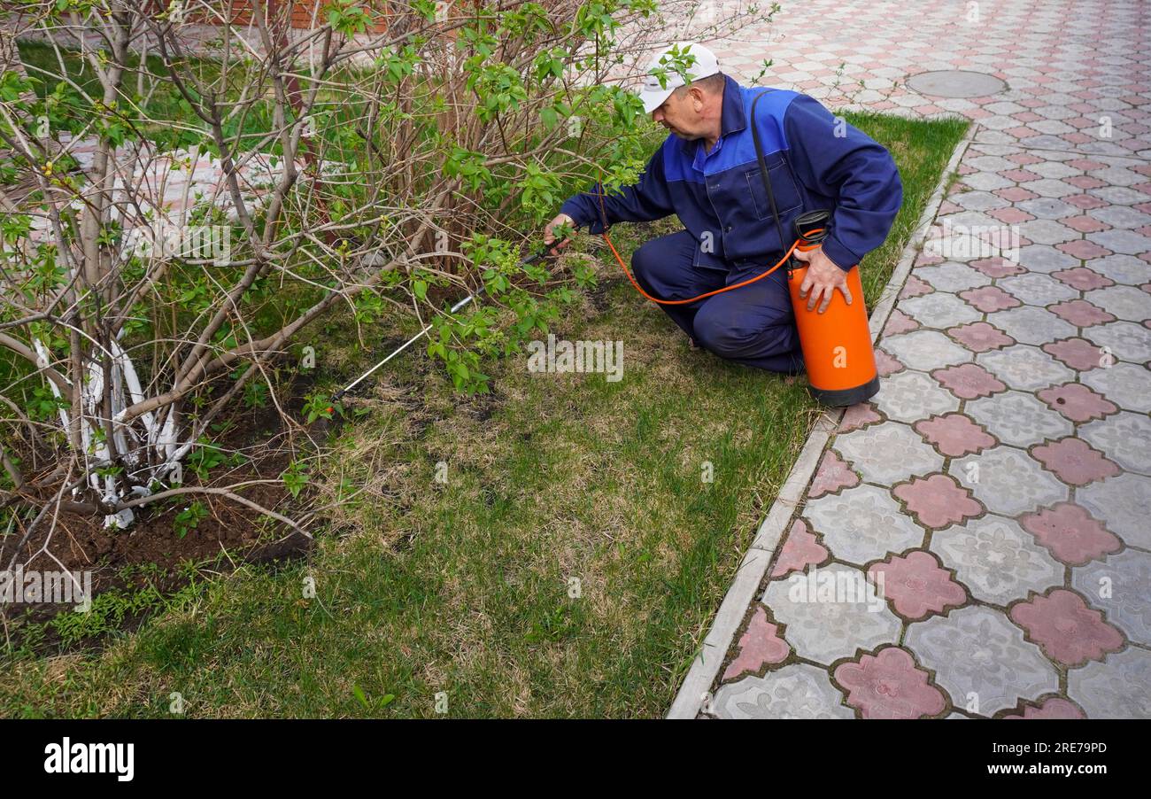 A man works in the garden, spraying weeds from a sprayer Stock Photo ...