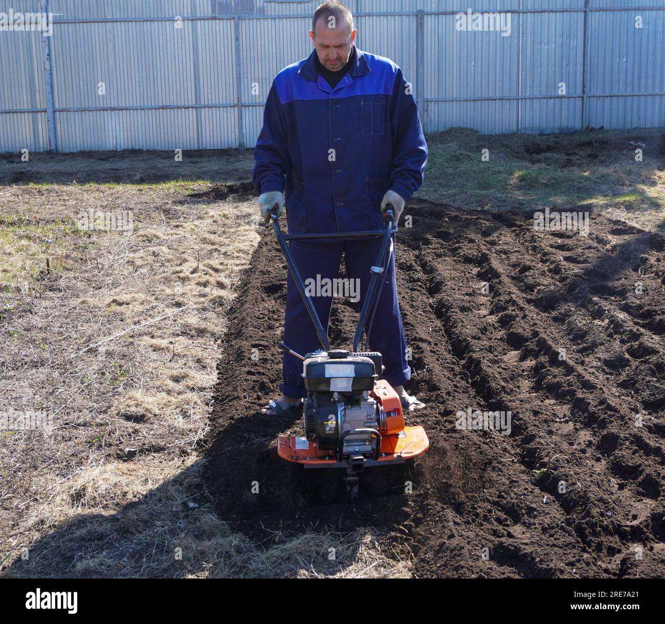 A man works in a vegetable garden in early spring. Digs the ground ...