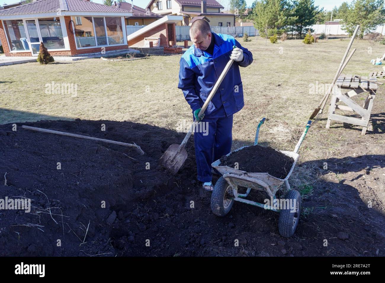 A man works in a vegetable garden in early spring. Digs the ground ...