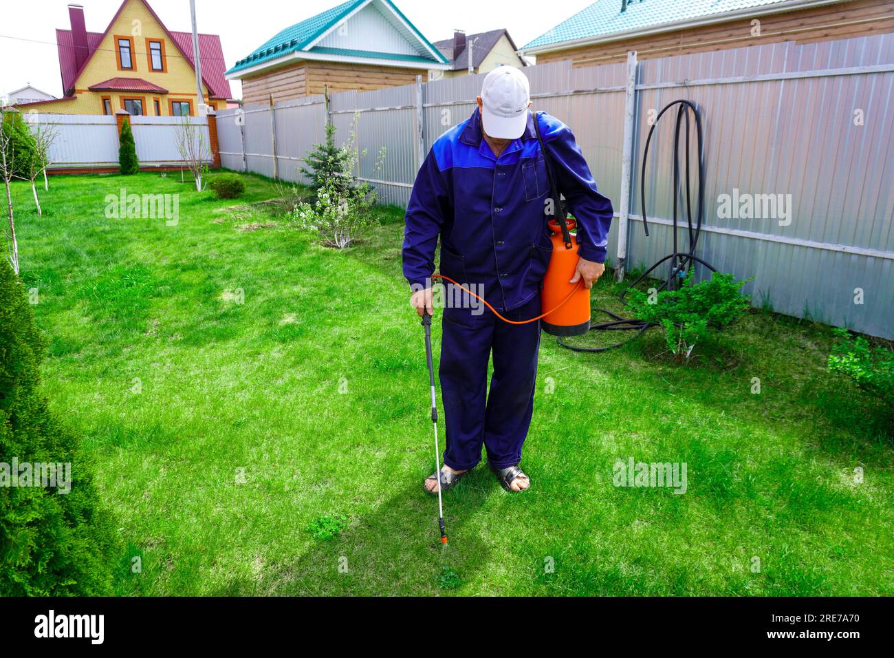 A man works in the garden, spraying weeds from a sprayer Stock Photo ...