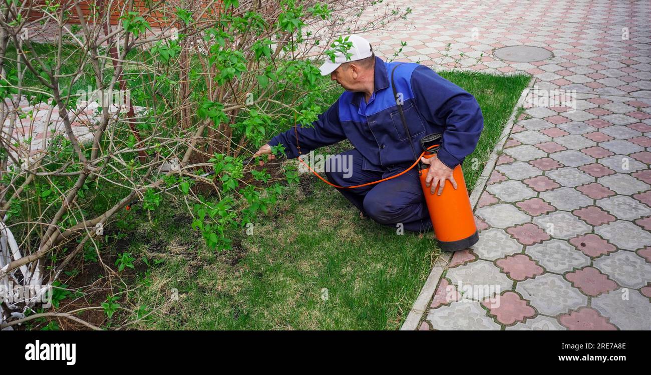 A man works in the garden, spraying weeds from a sprayer Stock Photo ...