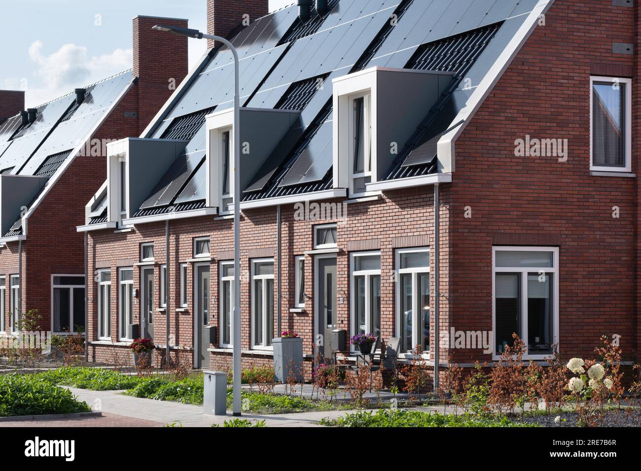 Row of modern new-build social rental homes with a front garden in Lemmer, the Netherlands, with solar panels on the tiled roofs. Renewable energy Stock Photo