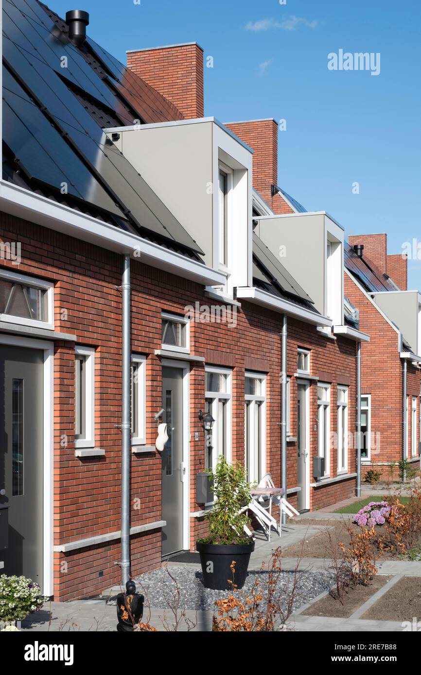 Row of modern new-build social rental homes with a front garden in a street in Lemmer, the Netherlands, with solar panels on the tiled roofs Stock Photo