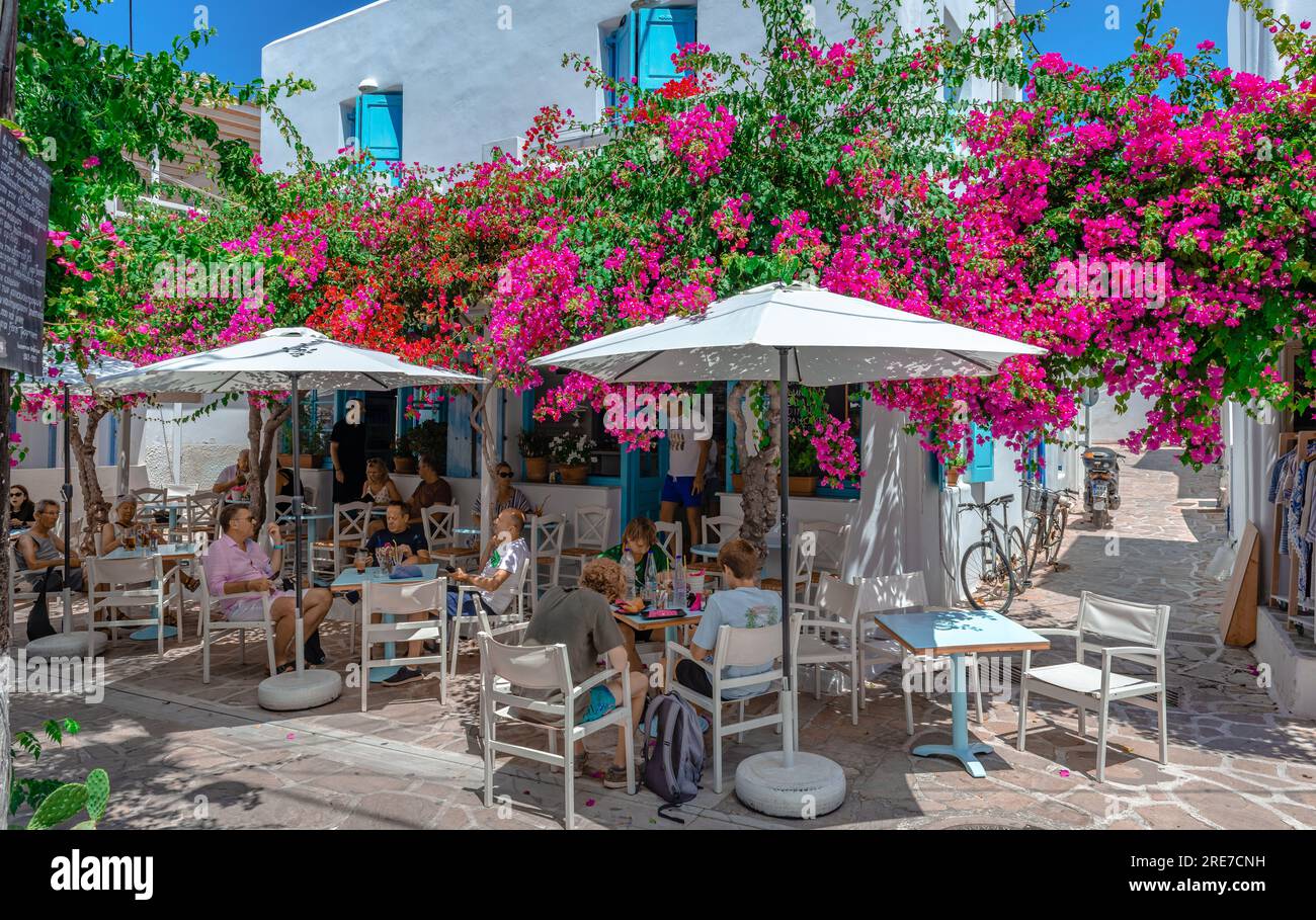 People enjoy drinks and breakfast in a traditional sidewalk café in cobblestone narrow alley with bougainvillea tree in Antiparos, Greece. Stock Photo