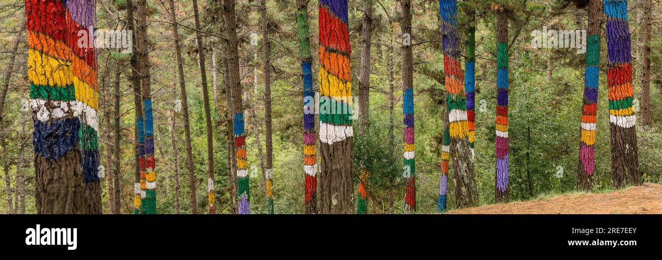 El juego del bosque hi-res stock photography and images - Alamy