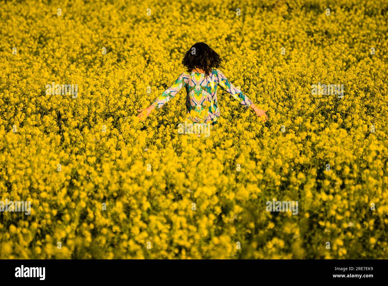 mujer paseando entre flores amarillas, Mallorca,Islas Baleares,Spain. Stock Photo
