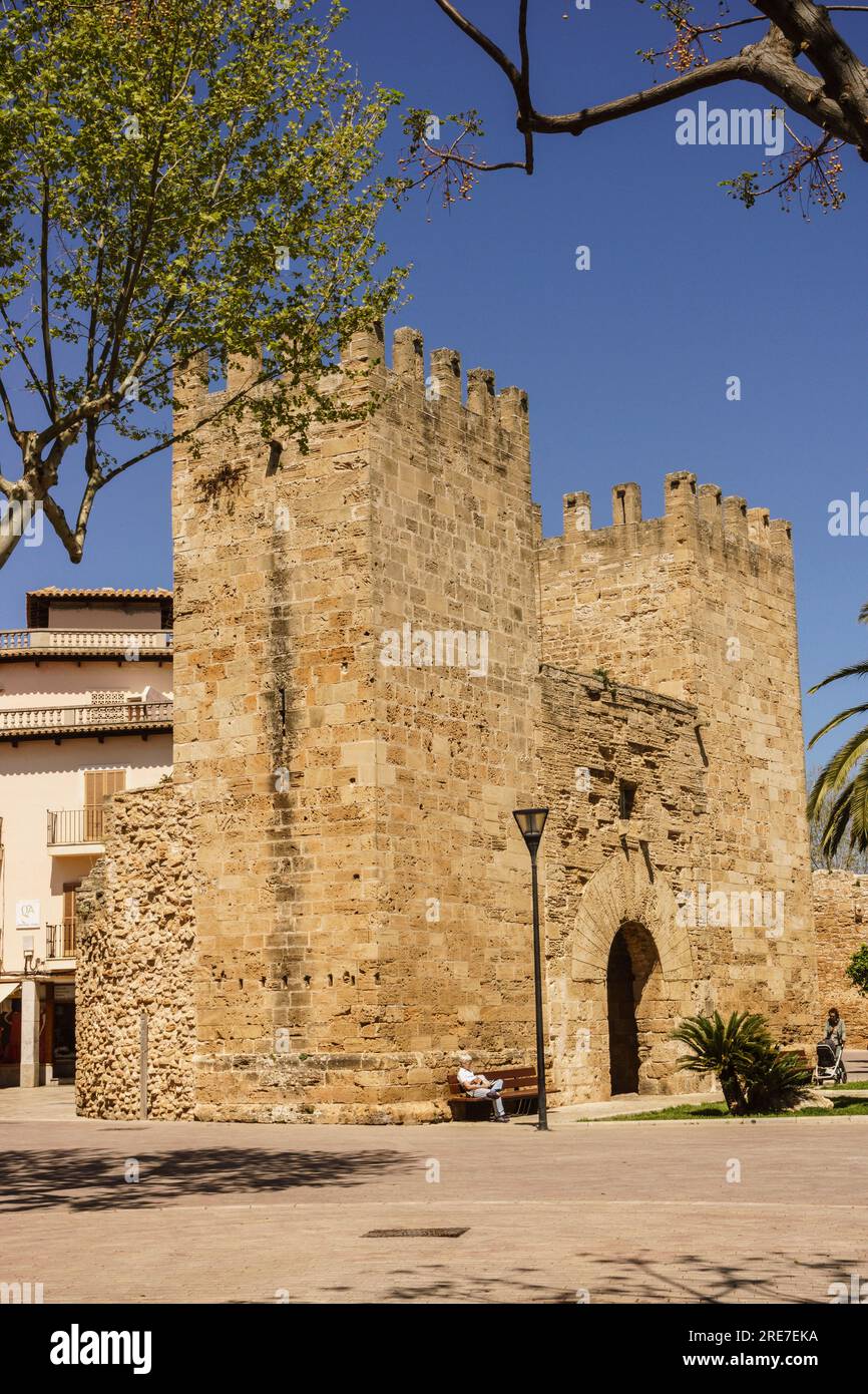 puerta de Xara,- puerta del Moll-,  plaza Carles V, muralla medieval, siglo XIV, Alcudia,Mallorca, islas baleares, Spain Stock Photo