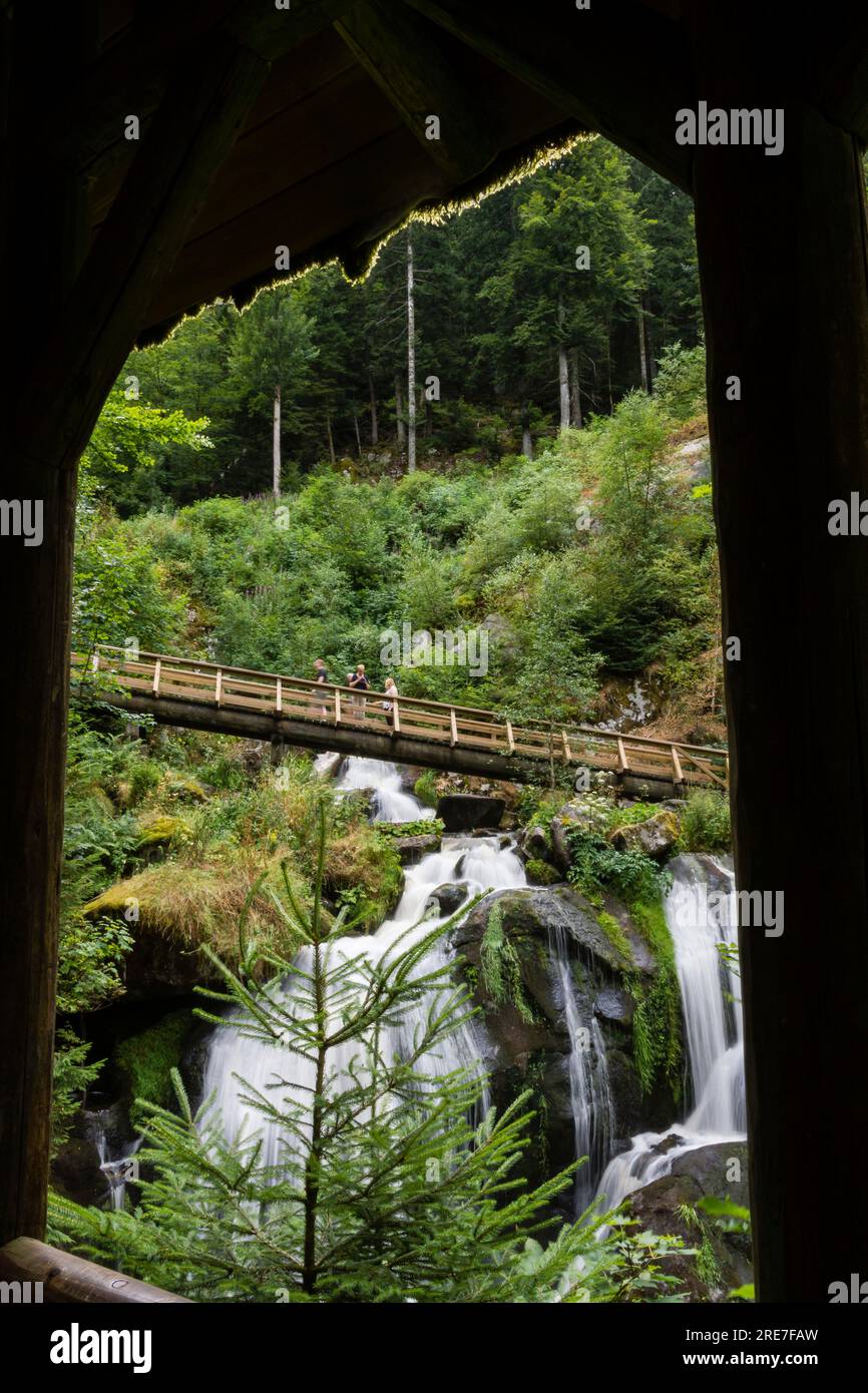 Triberg waterfalls, - Triberger Wasserfälle-, with a descent of 163 meters, Gutach River, Triberg, Black Forest region, Germany, Europe Stock Photo