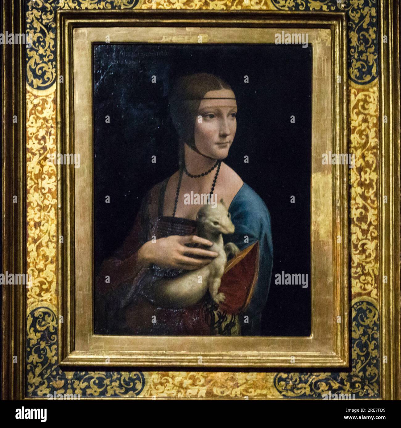 The lady of the ermine (La dama con l'ermellino) painting by the Italian Renaissance painter Leonardo da Vinci, oil on panel, 54.8 cm high and 40.3 cm Stock Photo