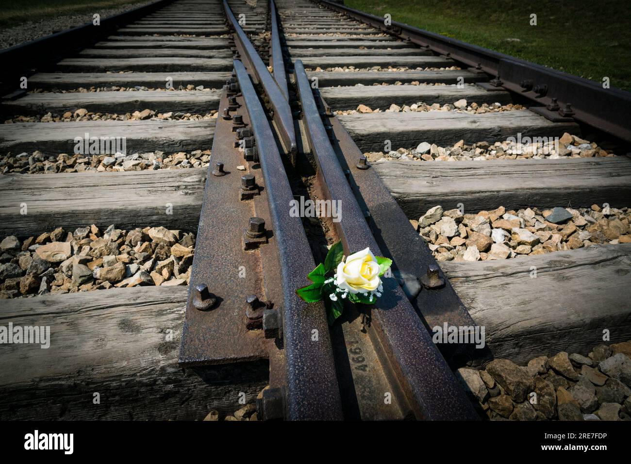 Flores en las vías del ferrocarril, campo de concentración de Auschwitz-Birkenau, museo estatal, Oswiecim, Polonia, Europa del Este Stock Photo