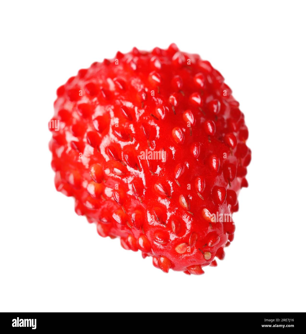 One ripe wild strawberry isolated on white Stock Photo - Alamy
