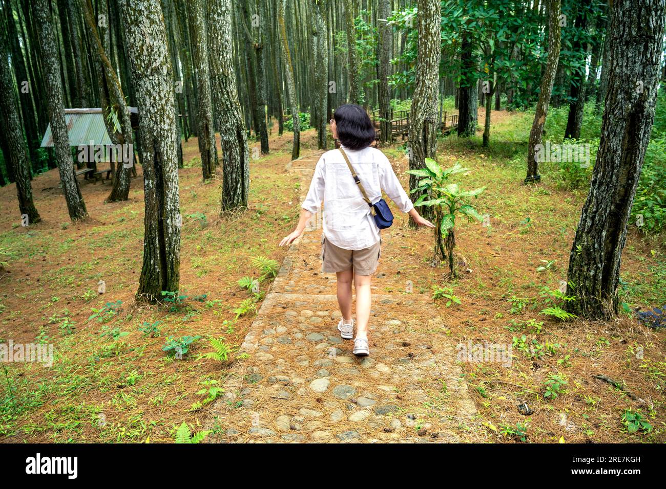 Rear view of an Asian woman walking around in the forest. Traveling ...