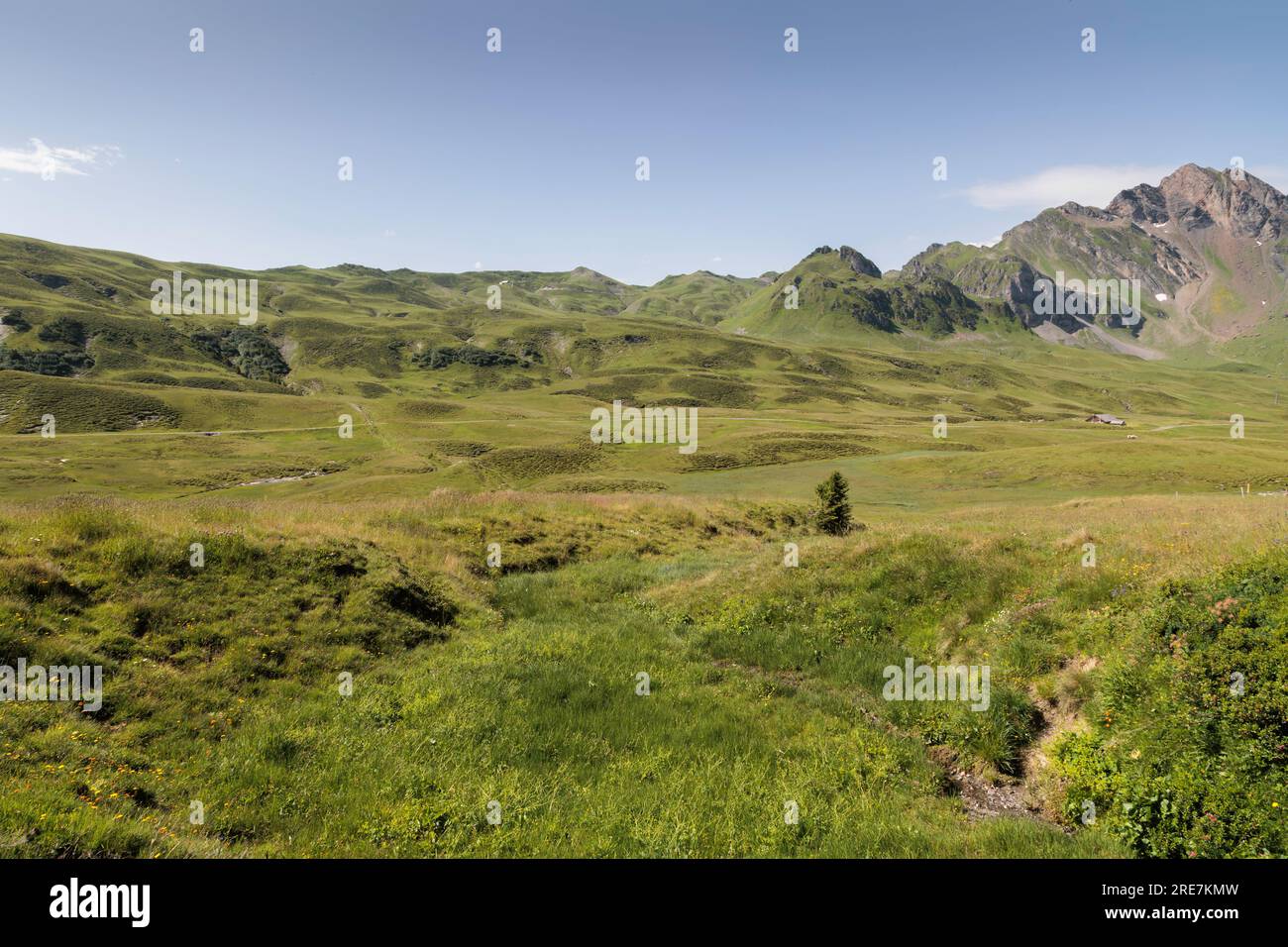 Aerial panoramic in swiss alps hi-res stock photography and images - Alamy