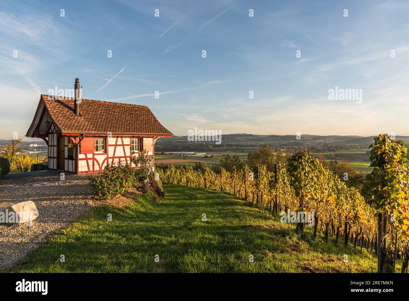 Cottage in the vineyards in evening light, autumn atmosphere, Canton Thurgau, Switzerland Stock Photo