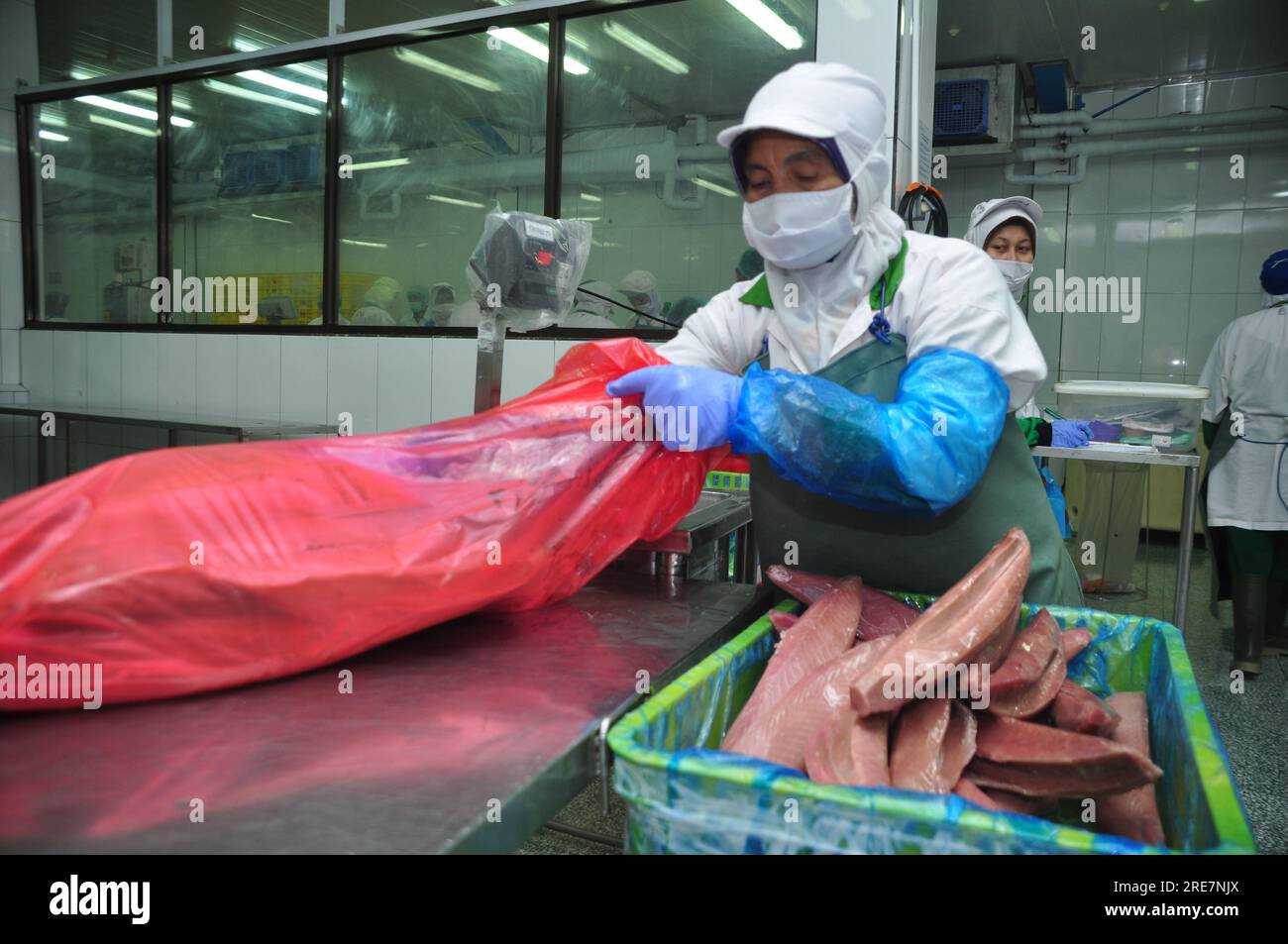 Jakarta, Indonesia May 26, 2017 Tuna processing activities at Muara