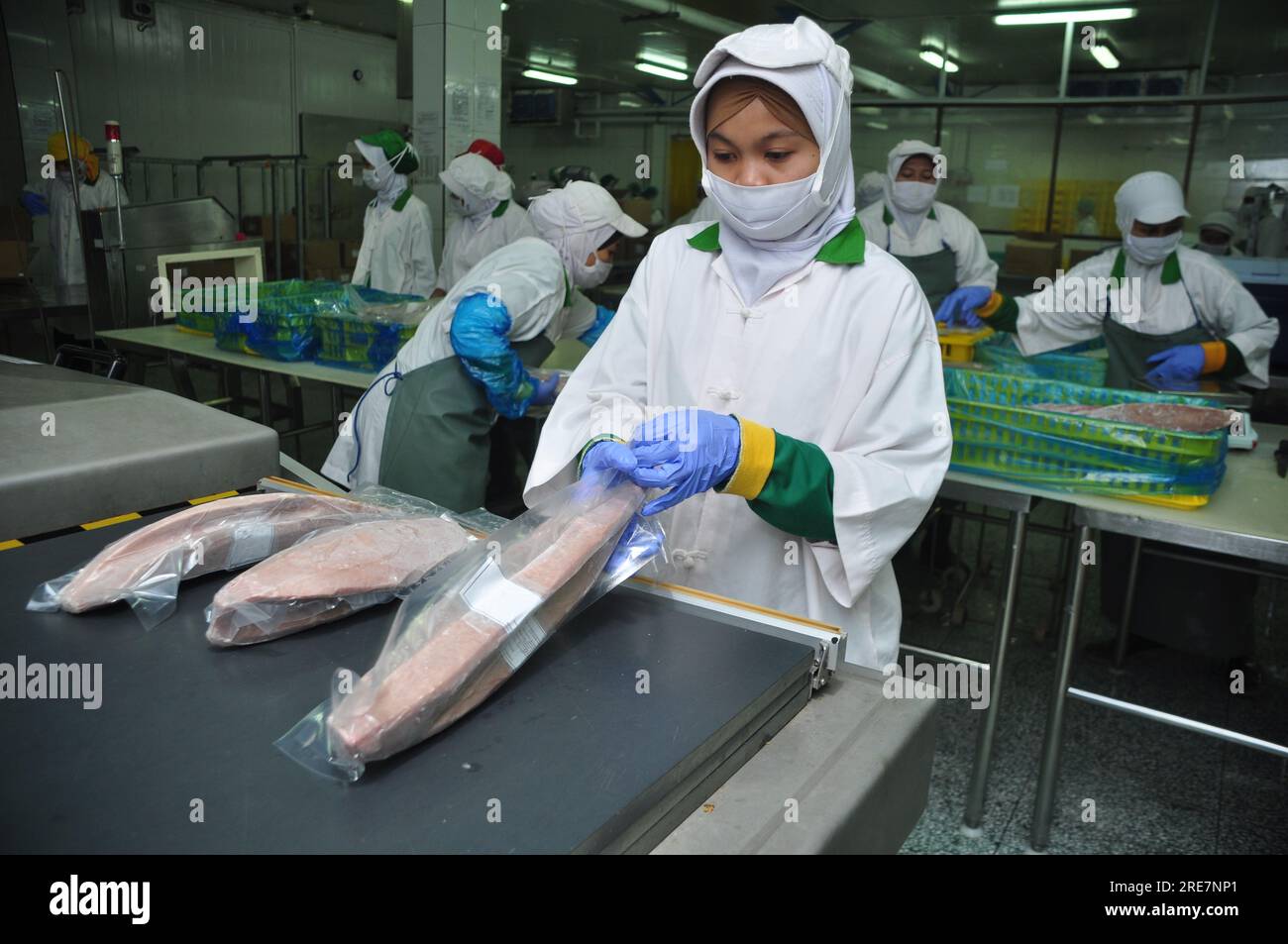 Jakarta, Indonesia May 26, 2017 Tuna processing activities at Muara