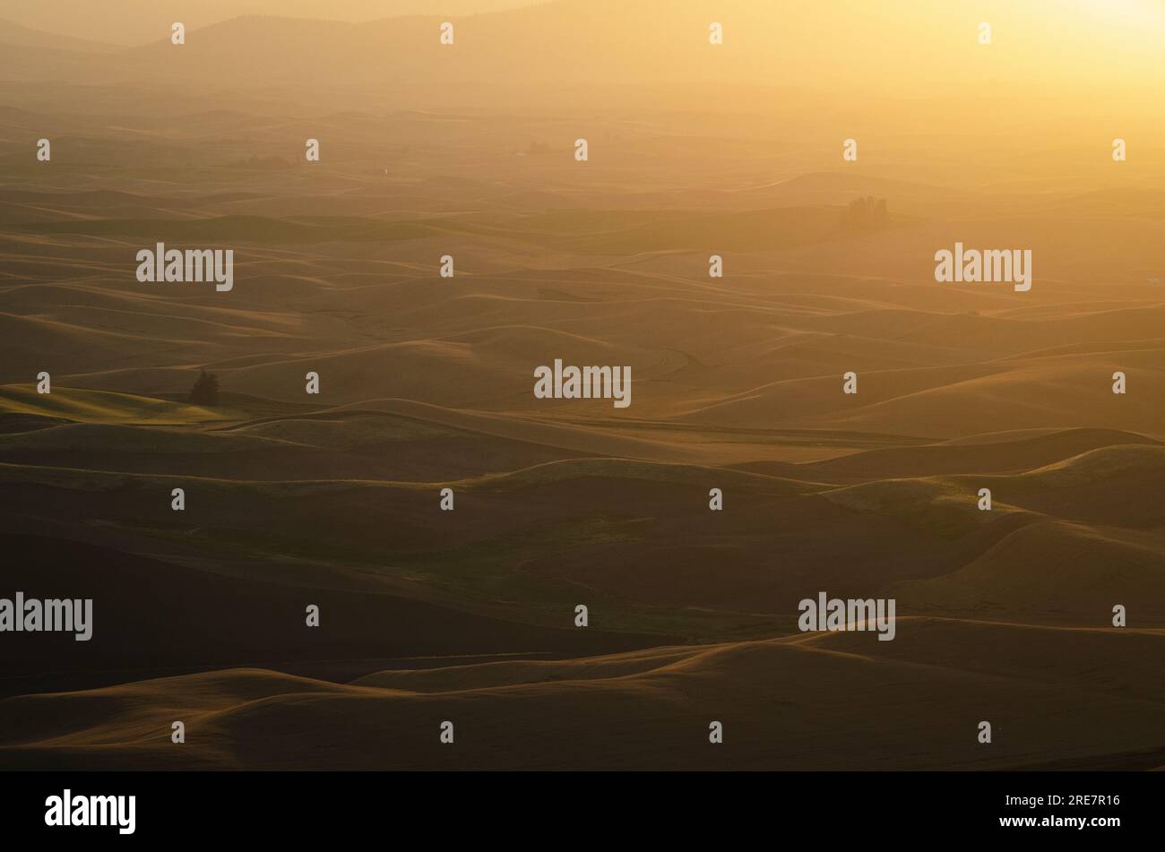 Smokey, hazy, summer sunrise over the rolling hills of the Palouse. Whitman County, Washington, USA. Stock Photo