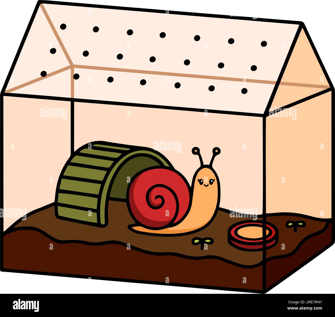 Cute pet snail in a terrarium vector illustration. Domestic garden