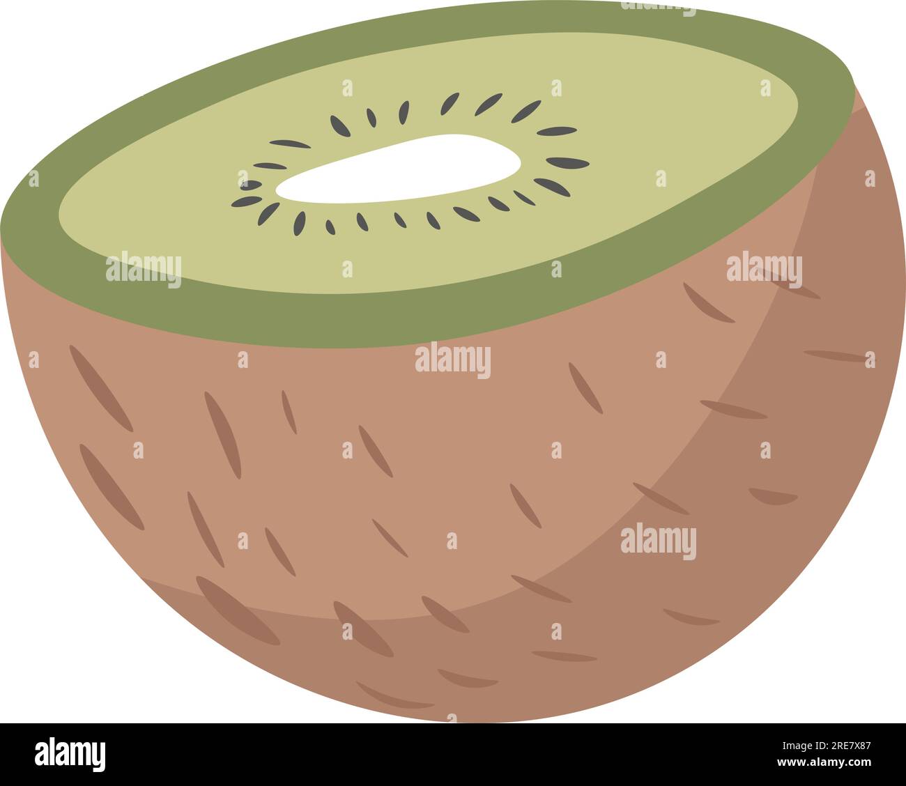 Exotic and tropical fruits and berries, isolated kiwi slice with seeds and peel. Nourishment