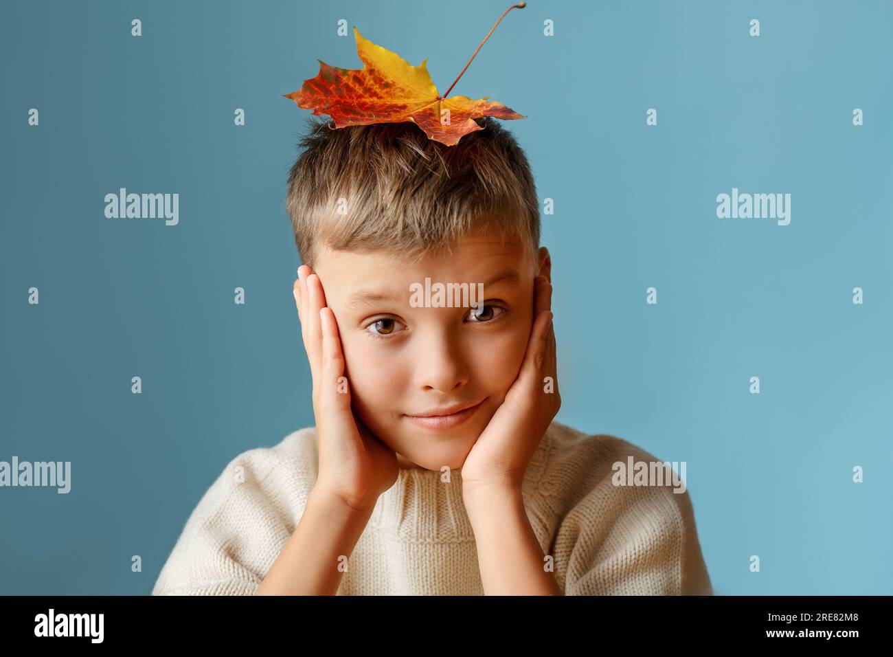 Autumn portrait of a boy with the leaf on his head Stock Photo - Alamy