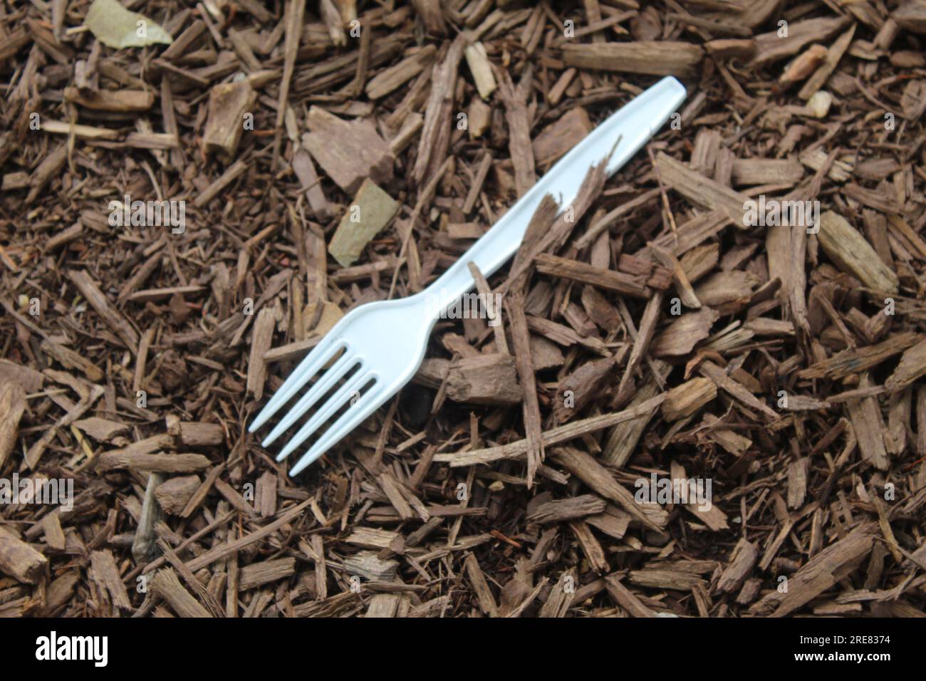 A photo of a fork on a ground of bark and wood. Stock Photo