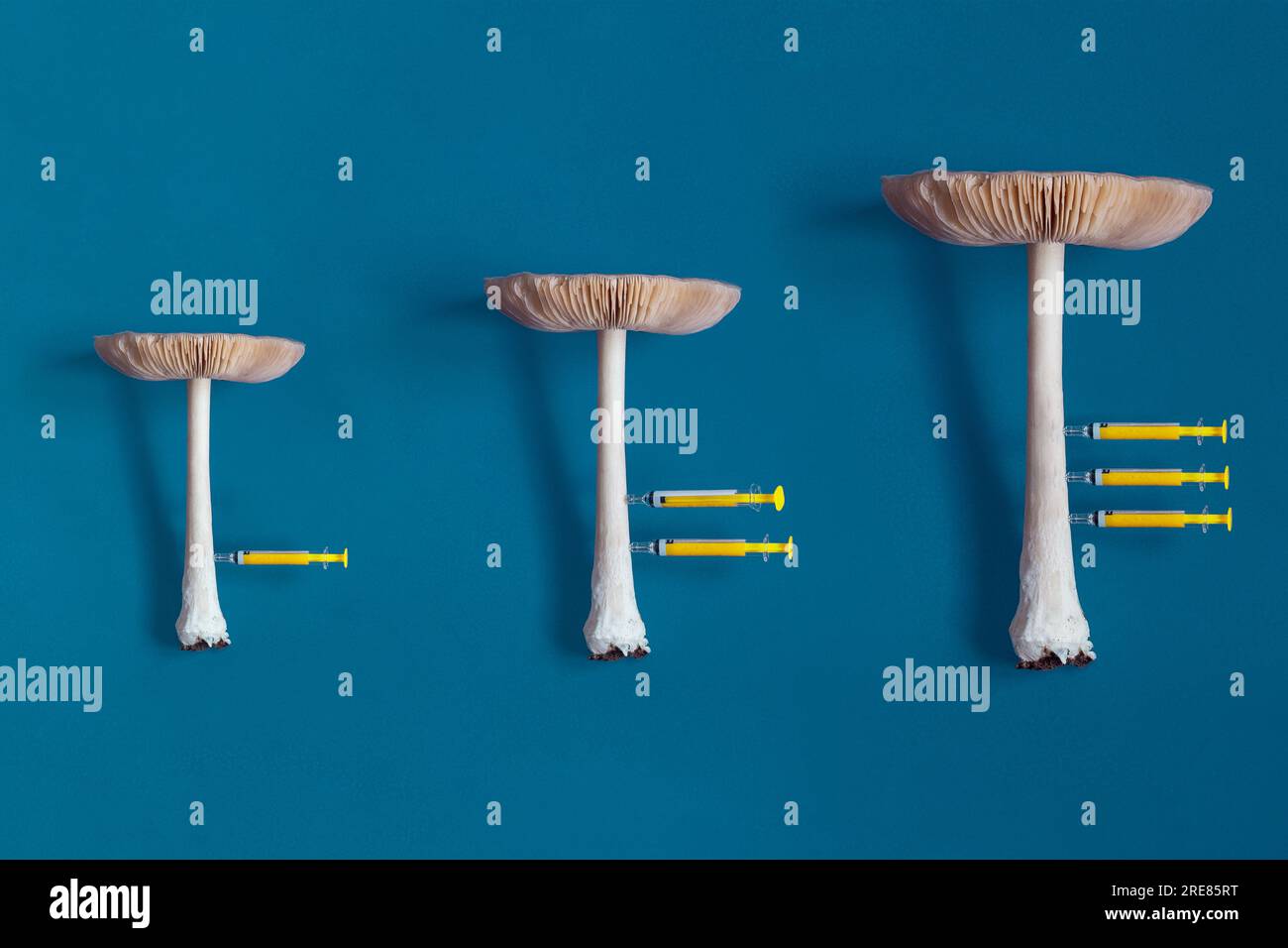 Three longstemmed mushrooms arranged in size order with a syringe