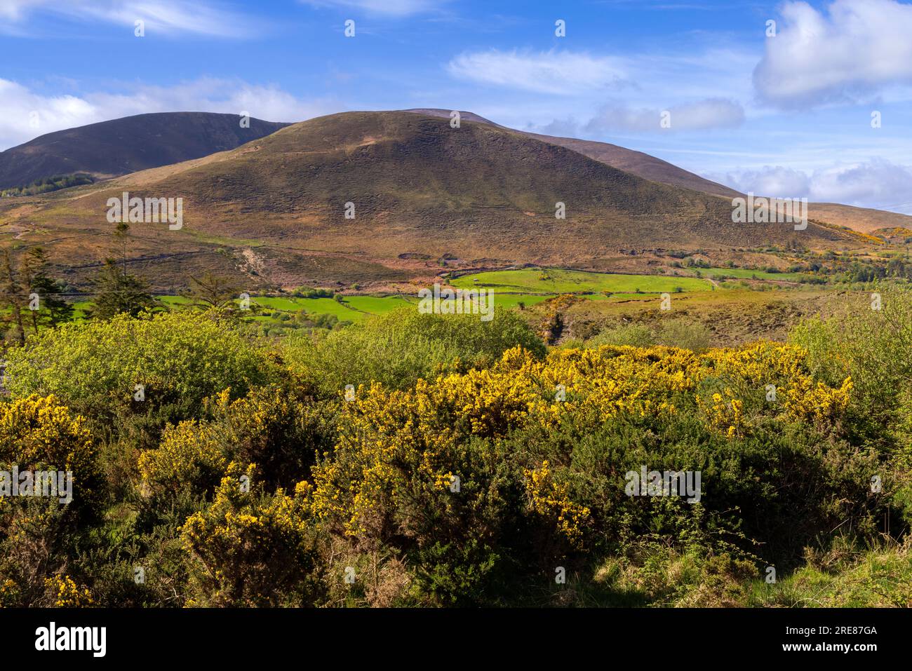 Sceniv view from River Caragh viewing point, on the Ring of Kerry, Ballintleave, Kerry, Republic of Ireland Stock Photo
