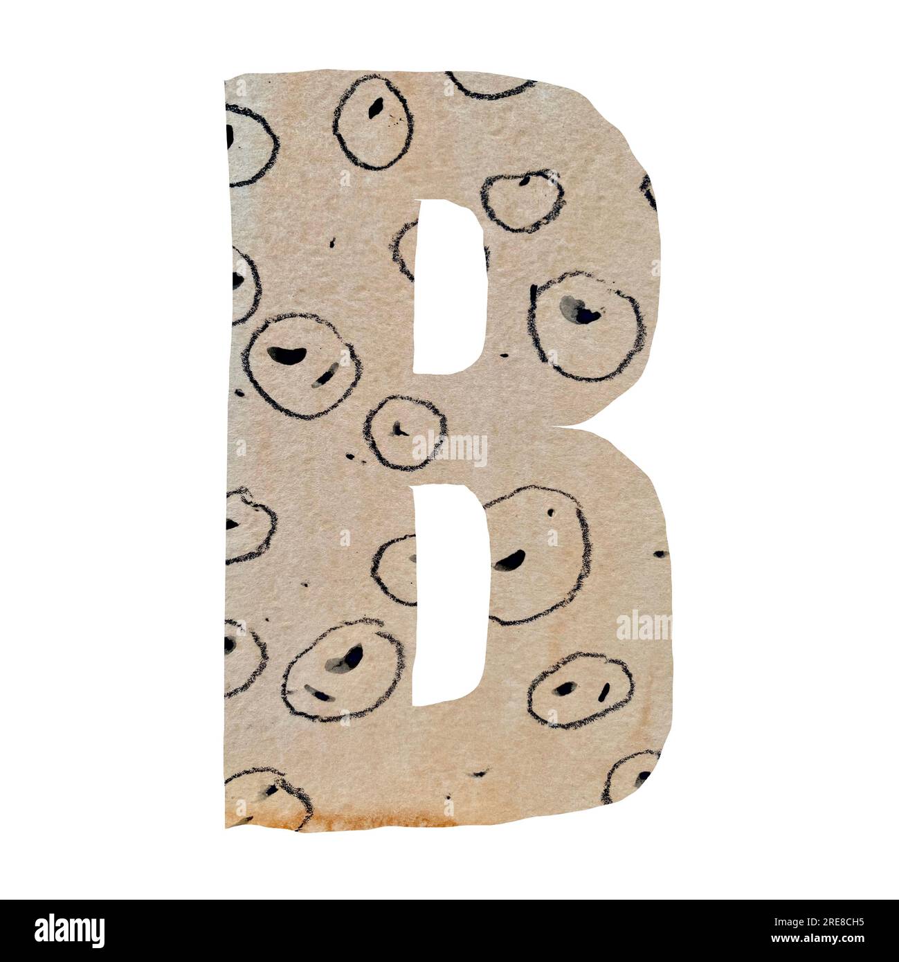 Capital letter B cut out paper alphabet Stock Photo