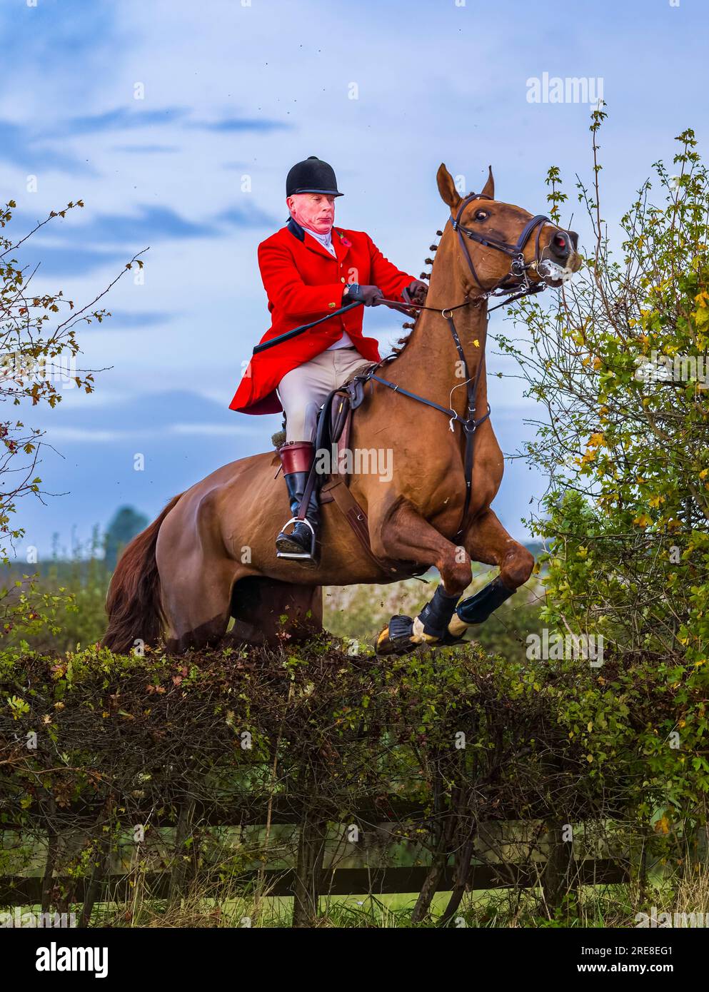 55 fotos de stock e banco de imagens de Horse Jumping Hedge - Getty Images