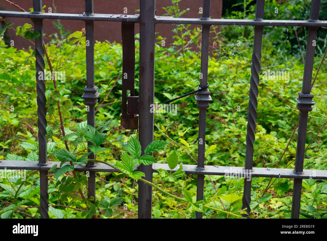Iron fence in abandoned house. Stock Photo