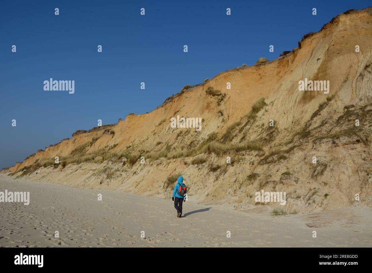 Walking on the beach along the Rotes Kiff / the red cliffs between Wenningstedt and Kampen, Sylt, Frisian Islands, North Sea, Germany Stock Photo
