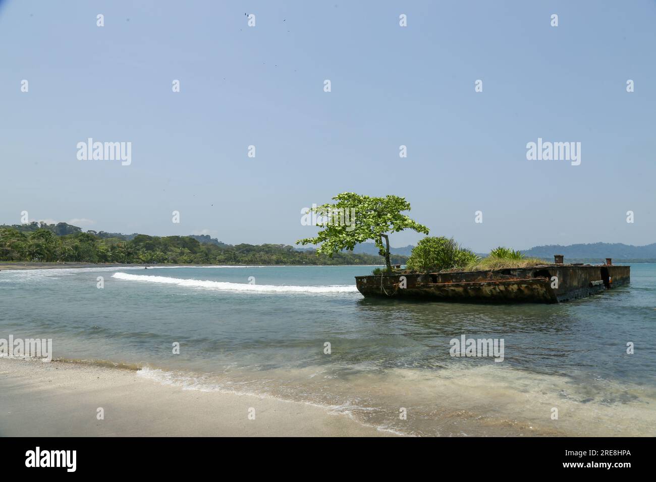 Wreck of floating platform with vegetation beached in front of Puerto Viejo de Talamanca, called 'El barco con arbol'. Stock Photo